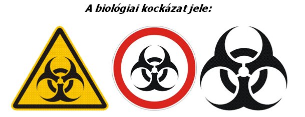 A XXI. század új típusú biztonsági kihívása: a biológiai ágensekkel elkövetett terrortámadás