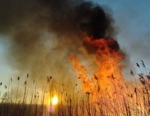 Nádastüzek – Milyen veszélyt jelentenek a balatoni nádasok?