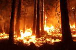 DISARM – erdőtűz-előrejelző rendszer a Balkánon