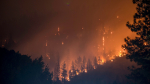Lángoltak az európai természetvédelmi területek tavaly